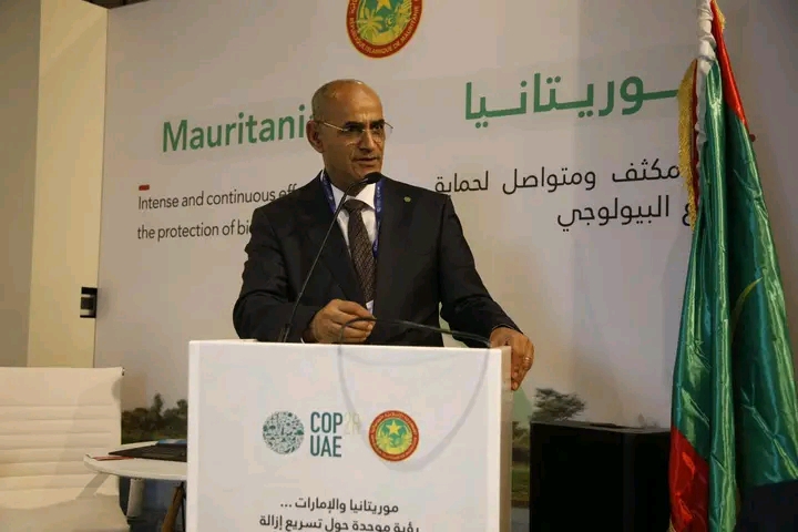 ولد اشروقه: يتوفر في موريتانيا أكثر من 900 مؤشر معدني