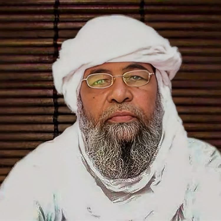 مصدر ..نصرة الإسلام والمسلمين تنفذ عمليات استهدفت أحد خطوط الجهد العالي التابعة لـ OMVS