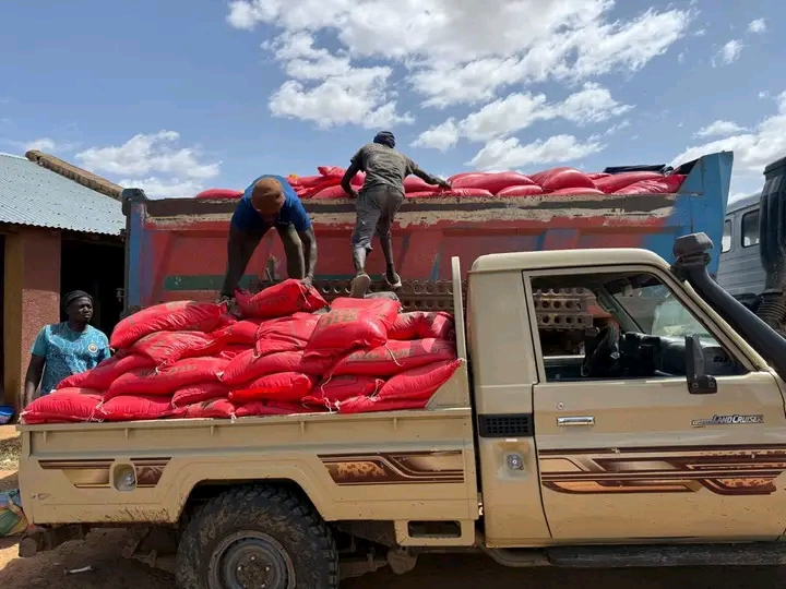 الجمارك تحبط عملية تهريب 63 طنا من الأرز و3 أطنان من الإسمنت