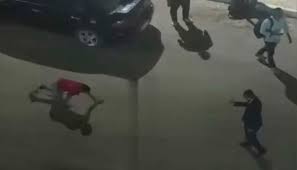 بعد إجباره على تقليد الكلاب.. حادثة غريبة تهز إحدى الجامعات المصرية