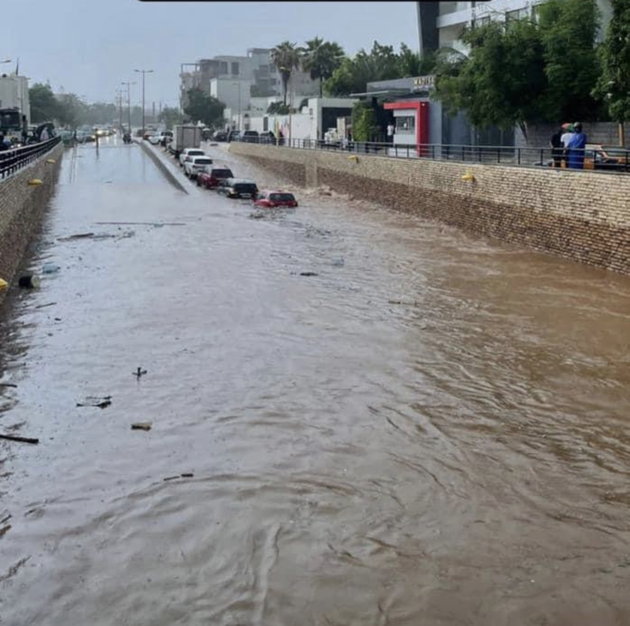 داكار: مقتل شخص جراء الفيضانات والسلطات تطلق خطة لإنقاذ المنكوبين