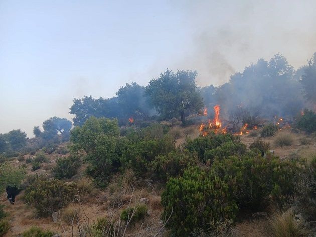 منظمة دولية: حرائق المغرب والجزائر وتونس تكشف تصاعد أزمة المناخ في المنطقة