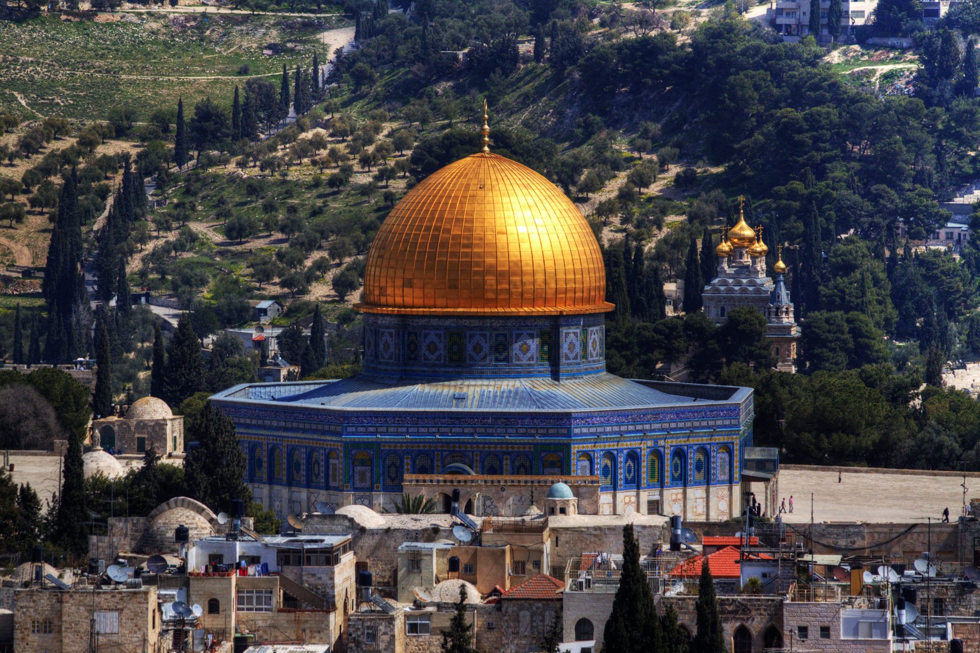 الجزائر: عطاف يبحث مع أبو الغيط موضوع نيل فلسطين العضوية الكاملة بالأمم المتحدة