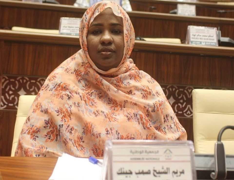  كتل وفرق برلمانية معارضة تصف توقيف بنت الشيخ تضييقا على الحريات وتطالب بالإفراج عنها