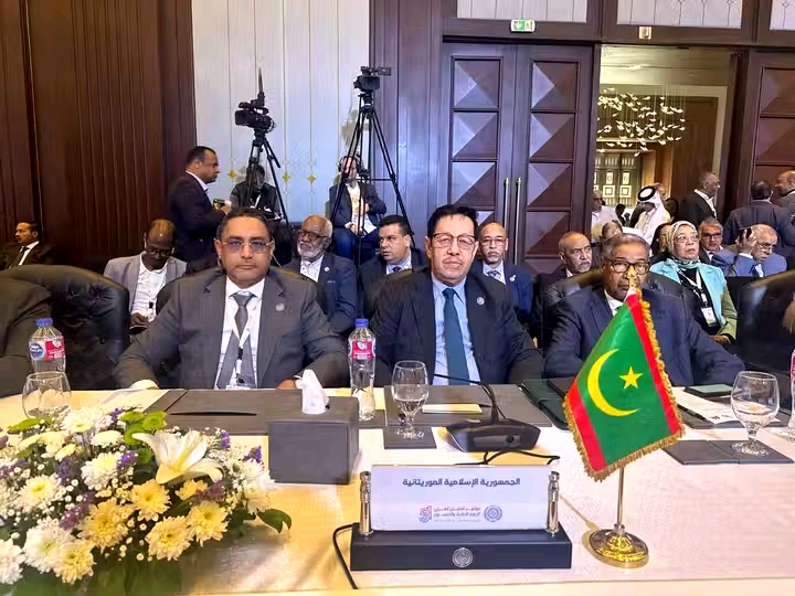 القاهرة: انتخاب موريتانيا عضوا في مجلس إدارة منظمة العمل العربية