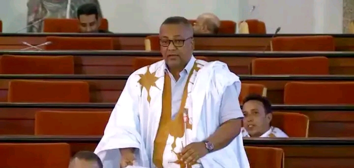 برلماني موالي يتهم الفرق المعارضة بالوقوف في وجه مصالح الشعب الموريتاني