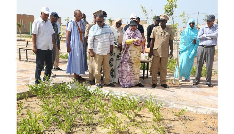 وزيرة البيئة تتفقد محاور من مكونة البيئة ضمن البرنامج الاستعجالي لتنمية نواكشوط