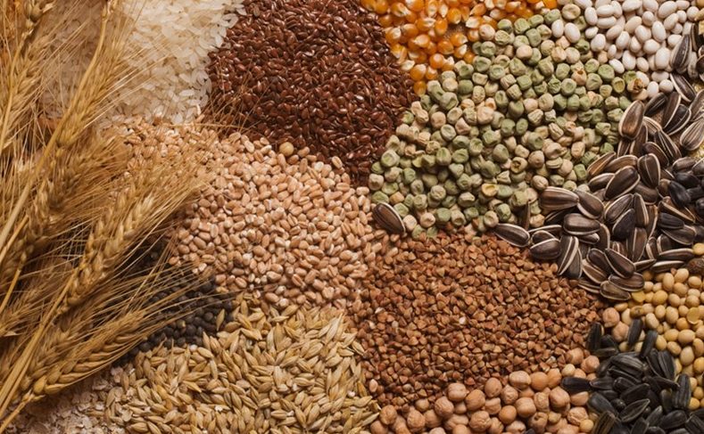 مالي: المجلس العسكري يحظر تصدير الحبوب
