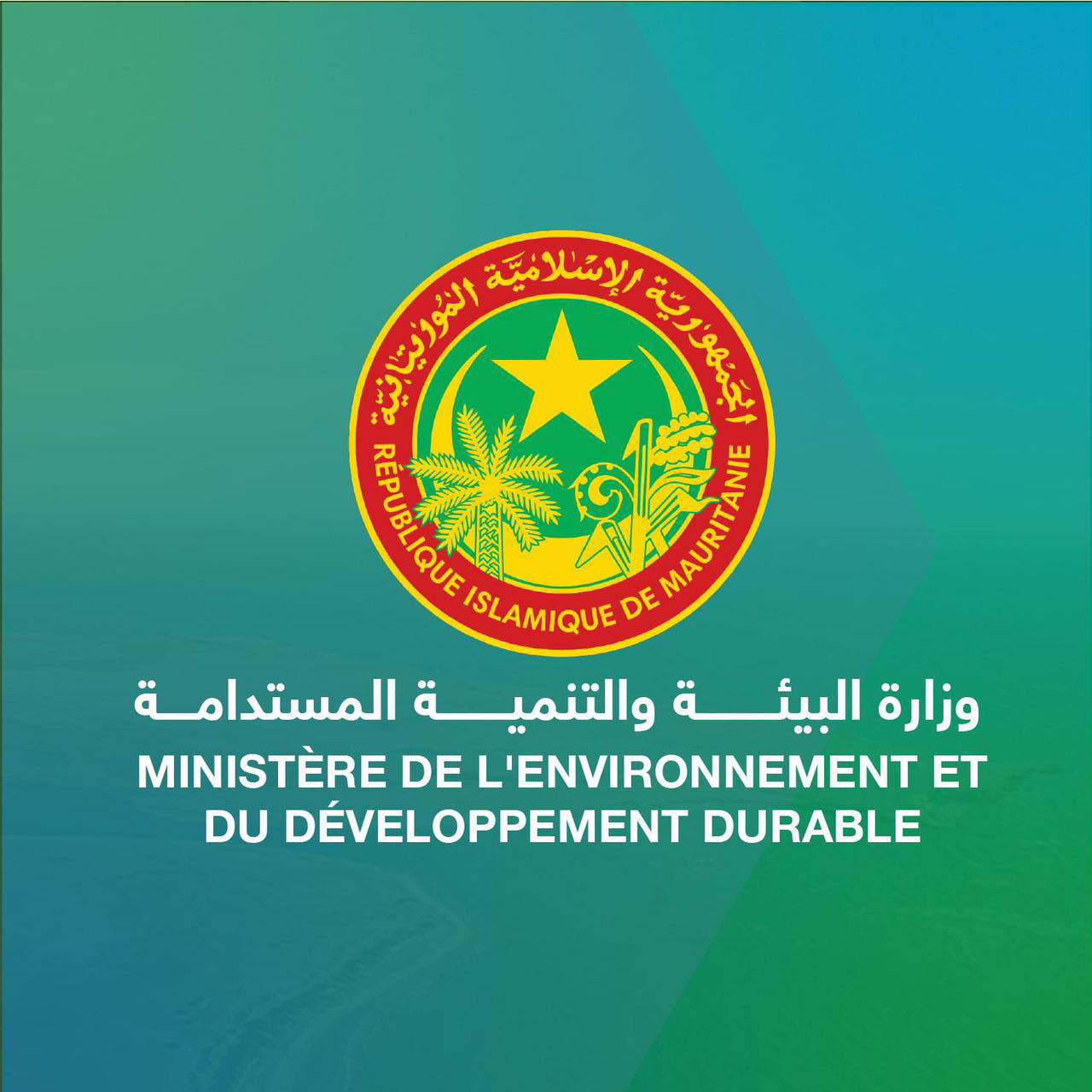 وزارة البيئة: موريتانيا تلتزم بحصتها في المحافظة على طبقة الأوزون