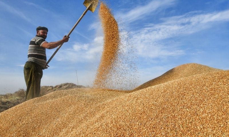 الأمم المتحدة: تم نقل أكثر من 4 ملايين طن من الغذاء منذ اتفاق تصدير الحبوب