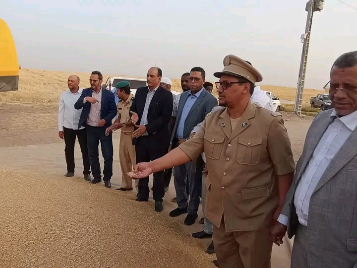 الأمين العام لوزارة الزراعة يدعو المستثمرين لزراعة محصول القمح