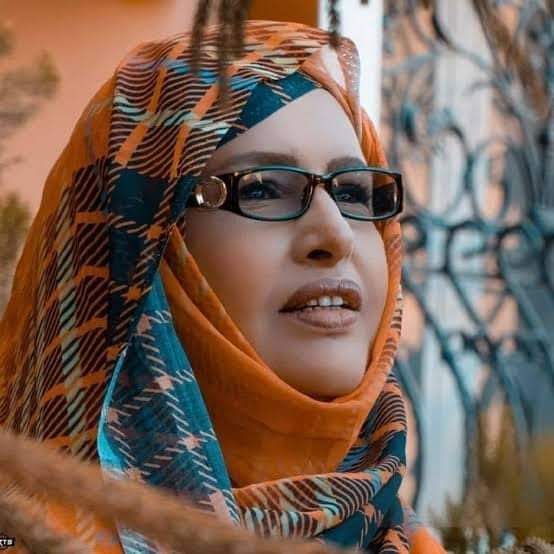 بنت الميداح تطالب بالإفراج عن ولد عبد العزيز