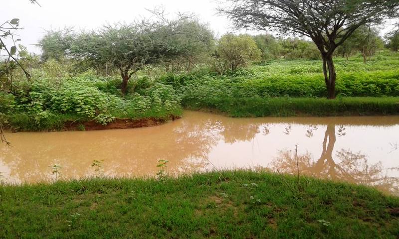 توقعات بموسم أمطار عادي يميل للعجز في المناطق الزراعية بموريتانيا