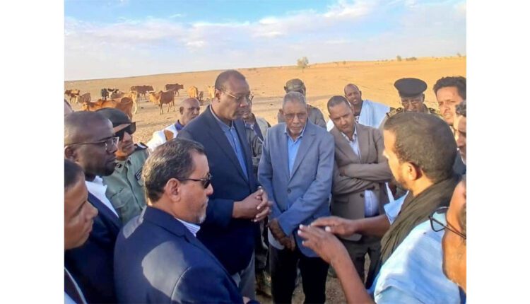 النعمة: وزير التنمية الحيوانية يؤدي زيارة ميدانية للتعاونيات المنتجة للألبان