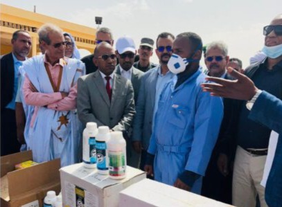 ازويرات: السلطات تعلن تسجيل حالات من حمى الضنك
