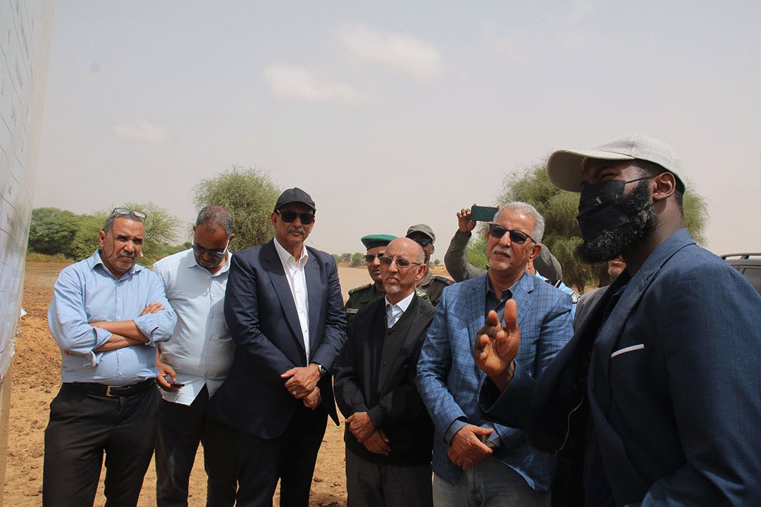 وزير الزراعة: الحملة الصيفية لزراعة الأرز تبشر بحصاد مرضي