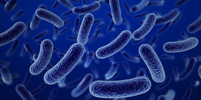 فيروس ماربورغ يودي بحياة 9 أشخاص في تنزانيا