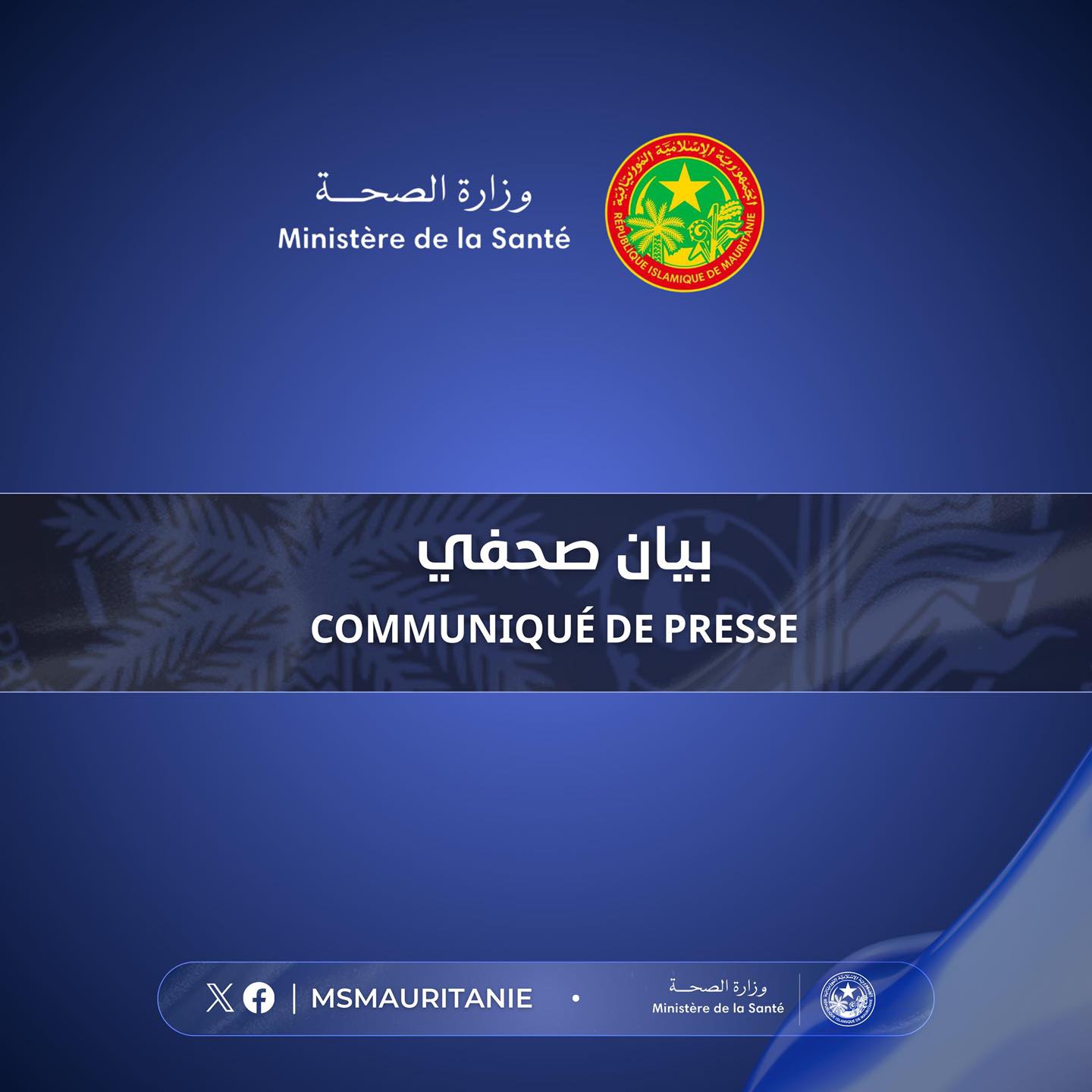 موريتانيا.. ارتفاع عدد الوفيات المرتبطة بحمى الوادي المتصدع إلى 3