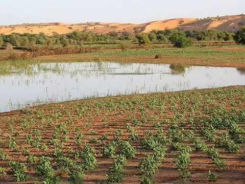 الاتحاد العالمي لحماية الطبيعة يمول مشروعا لحماية النظم البيئية والتنوع البيولوجي في مناطق بالداخل الموريتاني