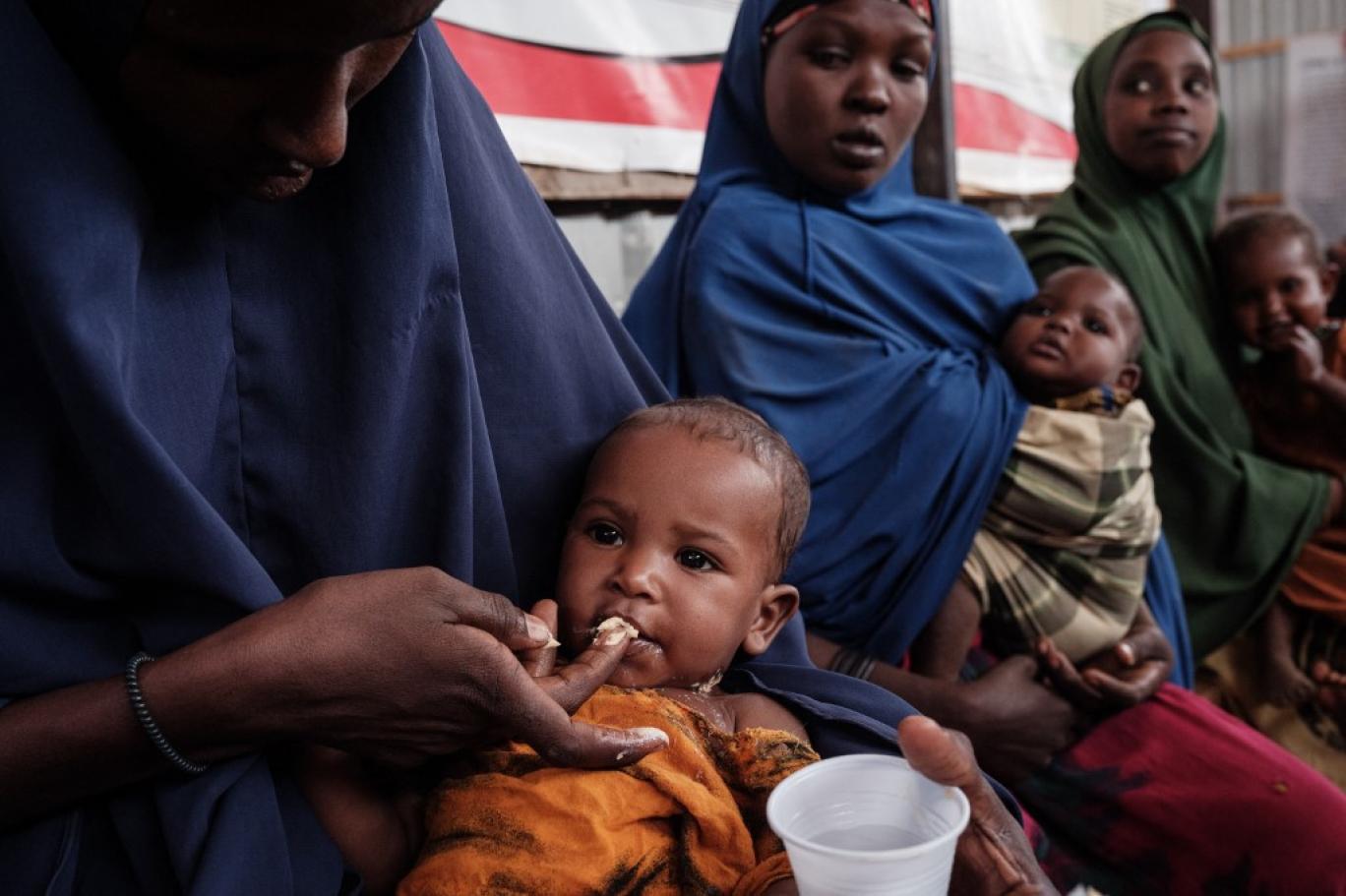 الإيغاد: 63 مليون شخص يعانون انعدام الأمن الغذائي في القرن الإفريقي