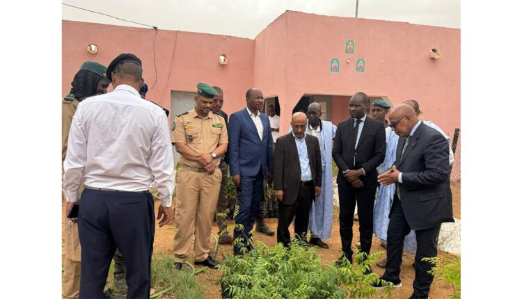 والي ولاية إينشيري يدعو إلى تفعيل الرقابة البيئية في مناطق التعدين بالولاية