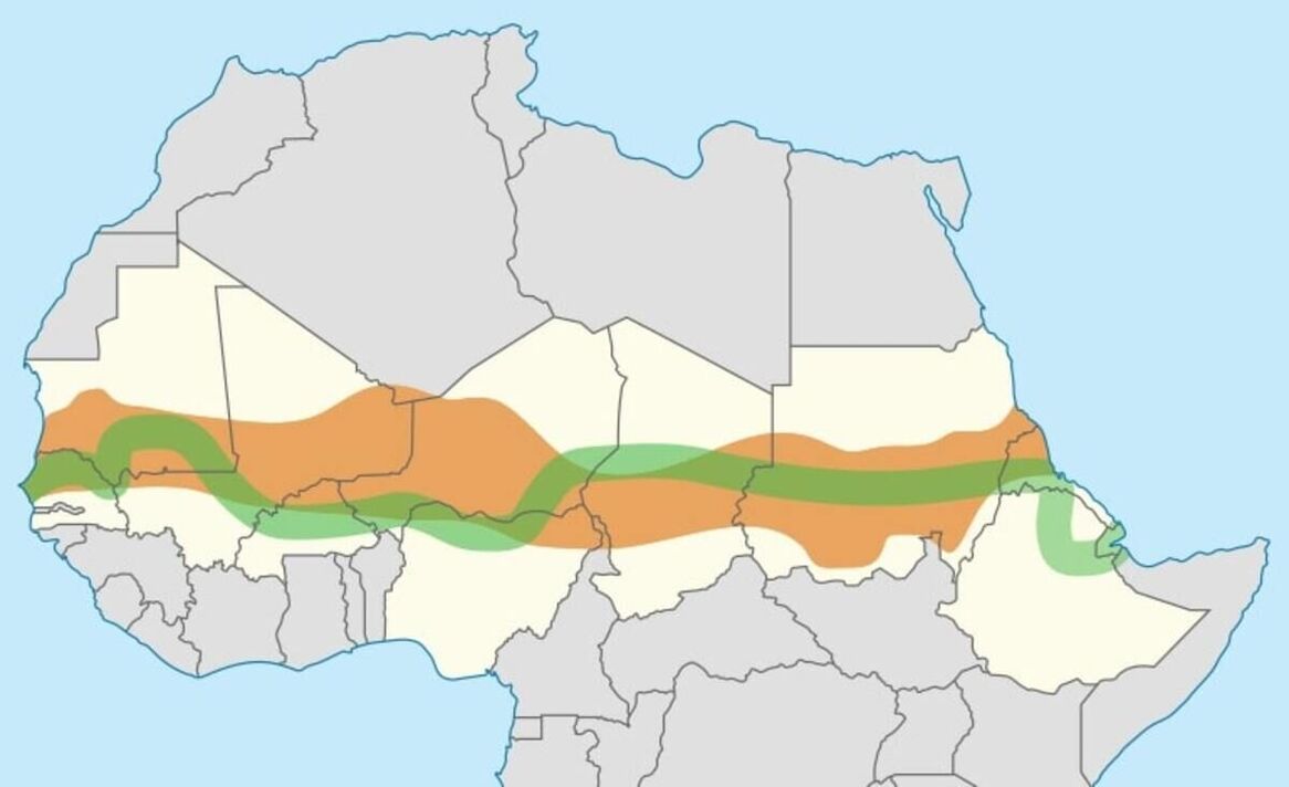 جدار إفريقيا العظيم.. 26 مليار جنيه للجم زحف الصحاري في 22 دولة بينها موريتانيا