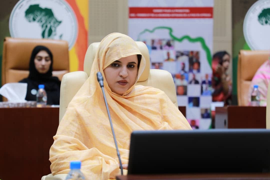بنت انتهاه: نثمن عاليا الفهم المستنير للقائمين على المؤتمر الإفريقي لتعزيز السلم