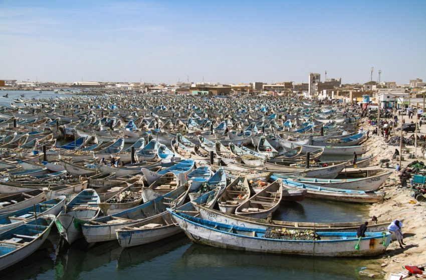 تحديد منتصف شهر نوفمبر لاستئناف نشاط الصيد التقليدي