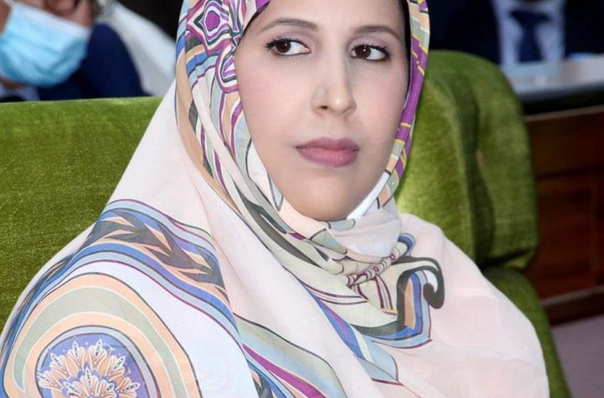 نواكشوط: التعليم العالي تعلن عن عشر منح دراسية إلى روسيا