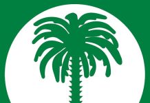 471970235_1128941252123216_8170204383175487600_n