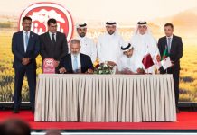 Algeria-RFP-090125-768x512