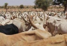 CE6550C6-E98B-4490-99B1-0E8DB527990D