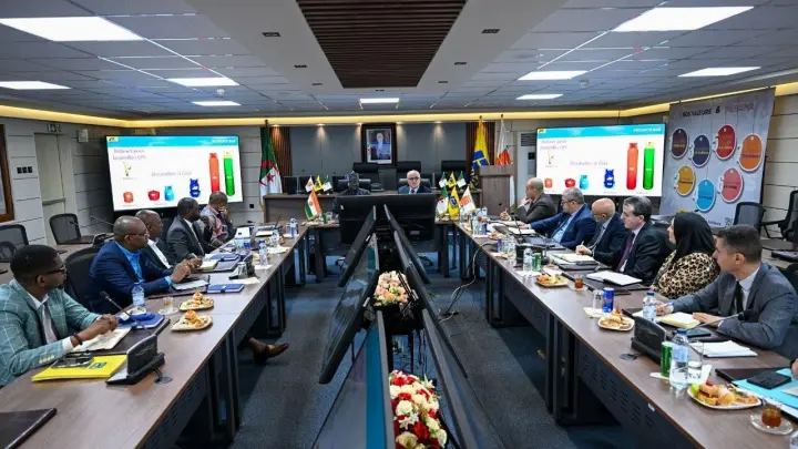مباحثات جزائرية نيجرية لإنجاز ثلاثة مراكز لتعبئة قارورات غاز البوتان في النيجر