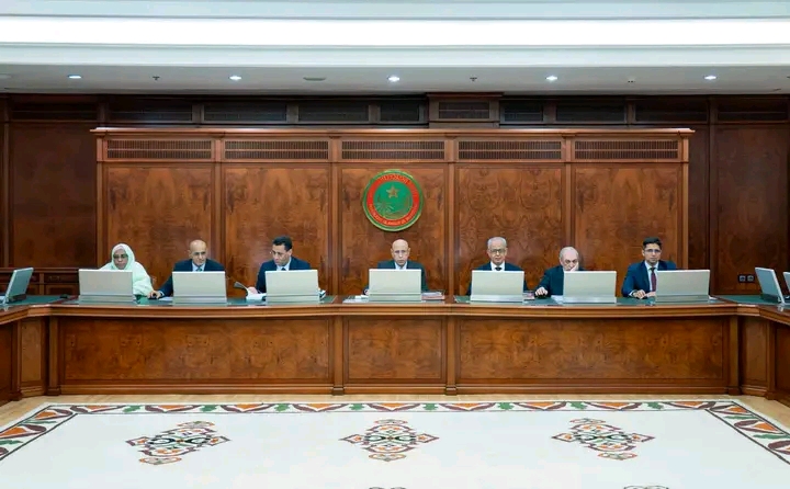 مجلس الوزراء يصادق على تمويل مشروع لكهربة 170 تجمعا ريفيا