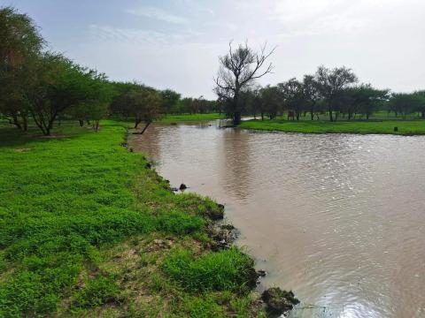 أمطار على مناطق في خمس ولايات