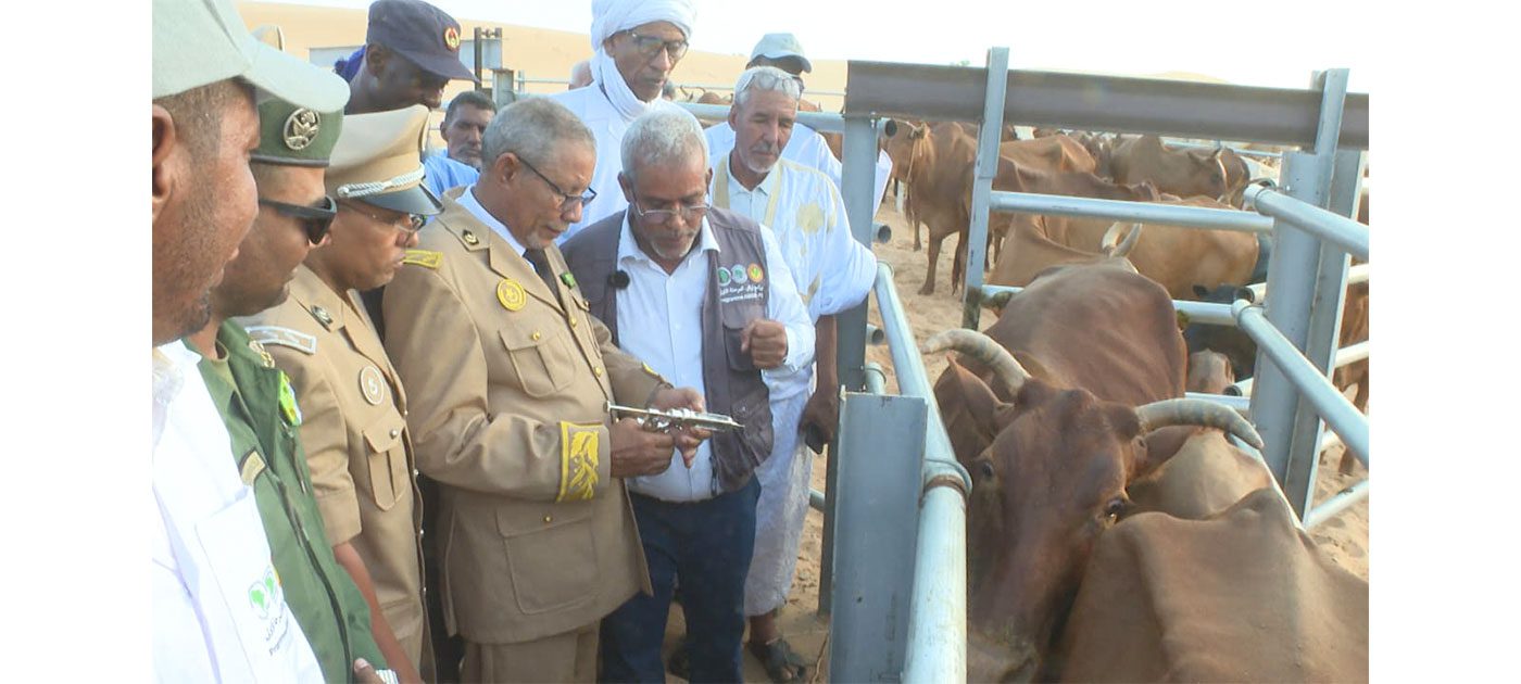 والي الحوض الشرقي يطلق مكوّنة للصحة الحيوانية